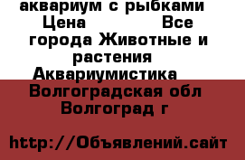 аквариум с рыбками › Цена ­ 15 000 - Все города Животные и растения » Аквариумистика   . Волгоградская обл.,Волгоград г.